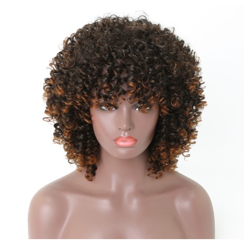 Dark Brown Mixed Light Brown African Curly Synthetic Wigs RW803