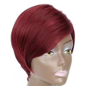 Wine Ren Short Straight Side Parting Synthetic Pixie Wigs RW1123