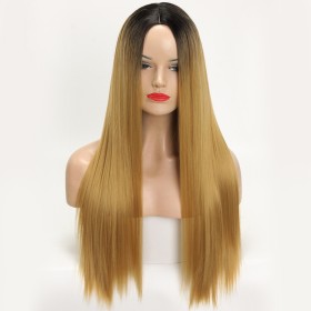 Light Brown With Dark Roots Long Straight Synthetic Wigs RW812