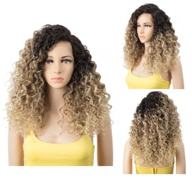 Blonde With Dark Roots Fluffy Short Curly Lace Front Synthetic Wig LF227
