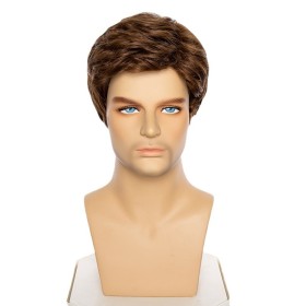 Brown Side Parting Short Roll Synthetic Men's Wigs RW1273