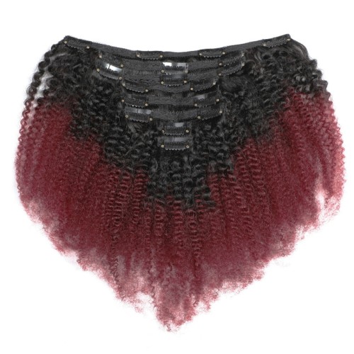 Wine Red Afro Kinky Curly Human Hair Clip In Hair Extension PW1063