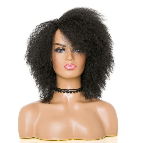 Black Side Parting Afro Curly Synthetic Wigs RW1187