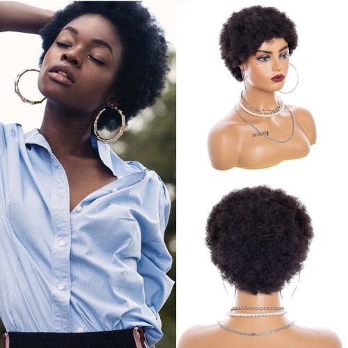 Natural Black Short Afro Small Roll Human Hair Fans Wigs NH1229