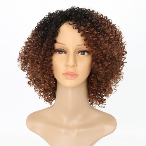 Brown With Black Roots Short African Curly Synthetic Wigs RW807