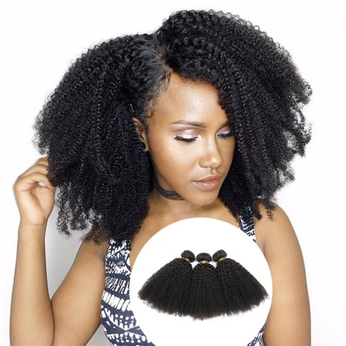 Afro Kinky Curly Human Hair Extensions PW1071