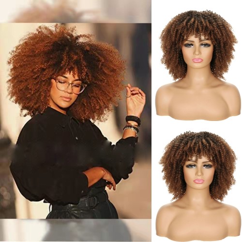 Brown with Dart Roots Curly Synthetic Afro Wig RW023