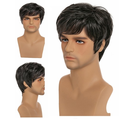 Dark Grey Short Straight Synthetic Men's Wigs RW1320