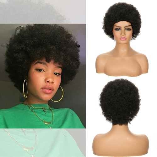 Short Black Curly Synthetic Afro Wig RW025